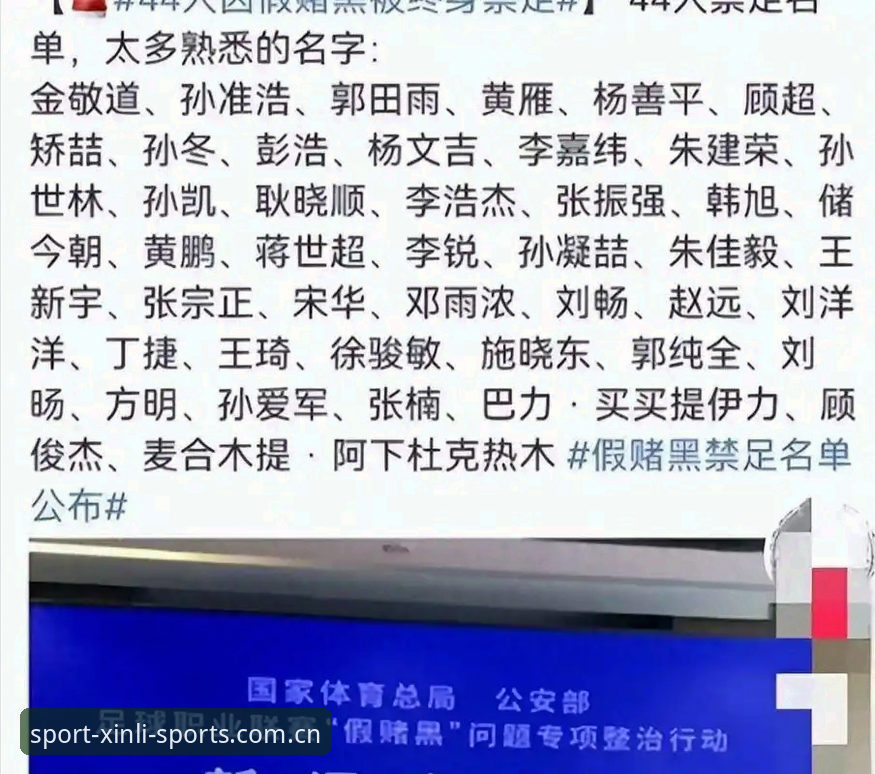 足协再发重磅罚单：第三批禁足名单公布，17人终身禁赛48人受罚